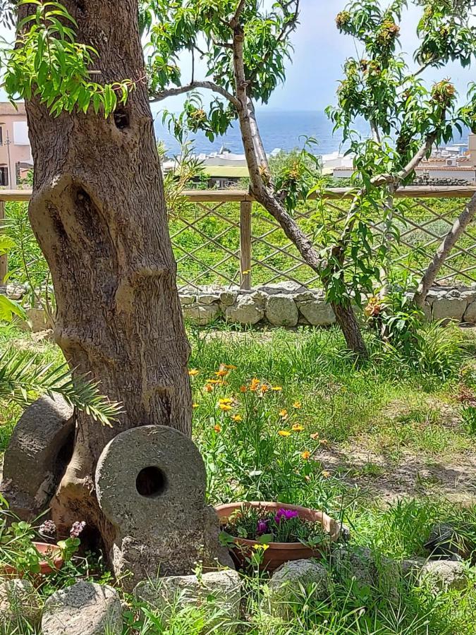 Vista Mare Appartamento Forio di Ischia