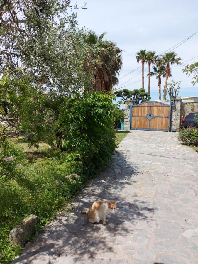 Vista Mare Appartamento Forio di Ischia