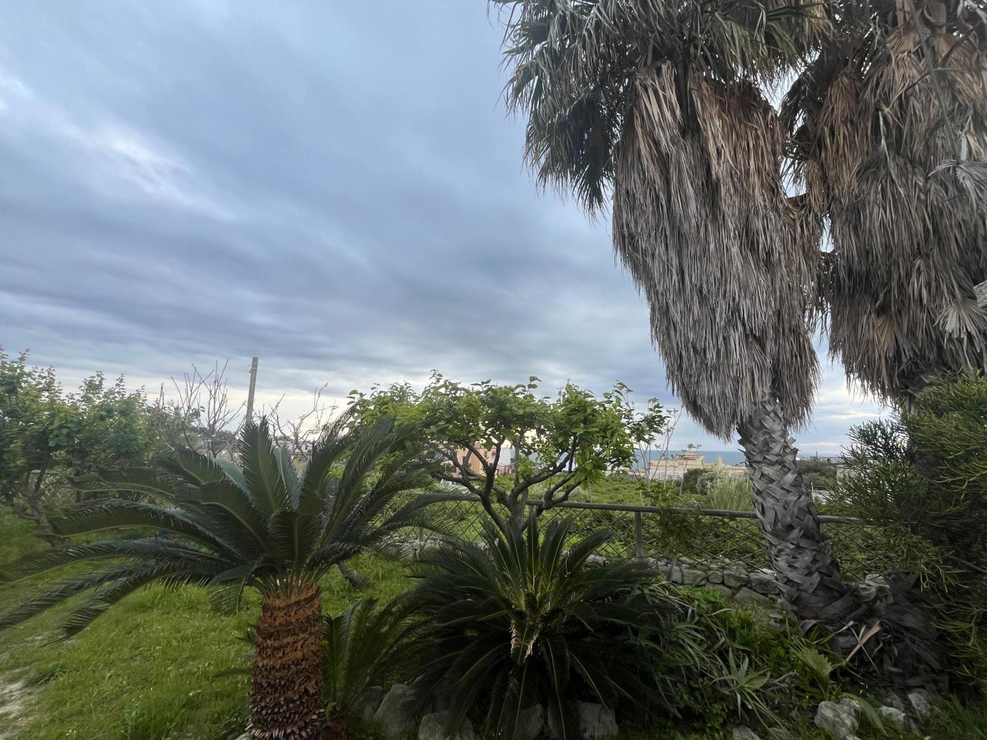 Vista Mare Forio di Ischia