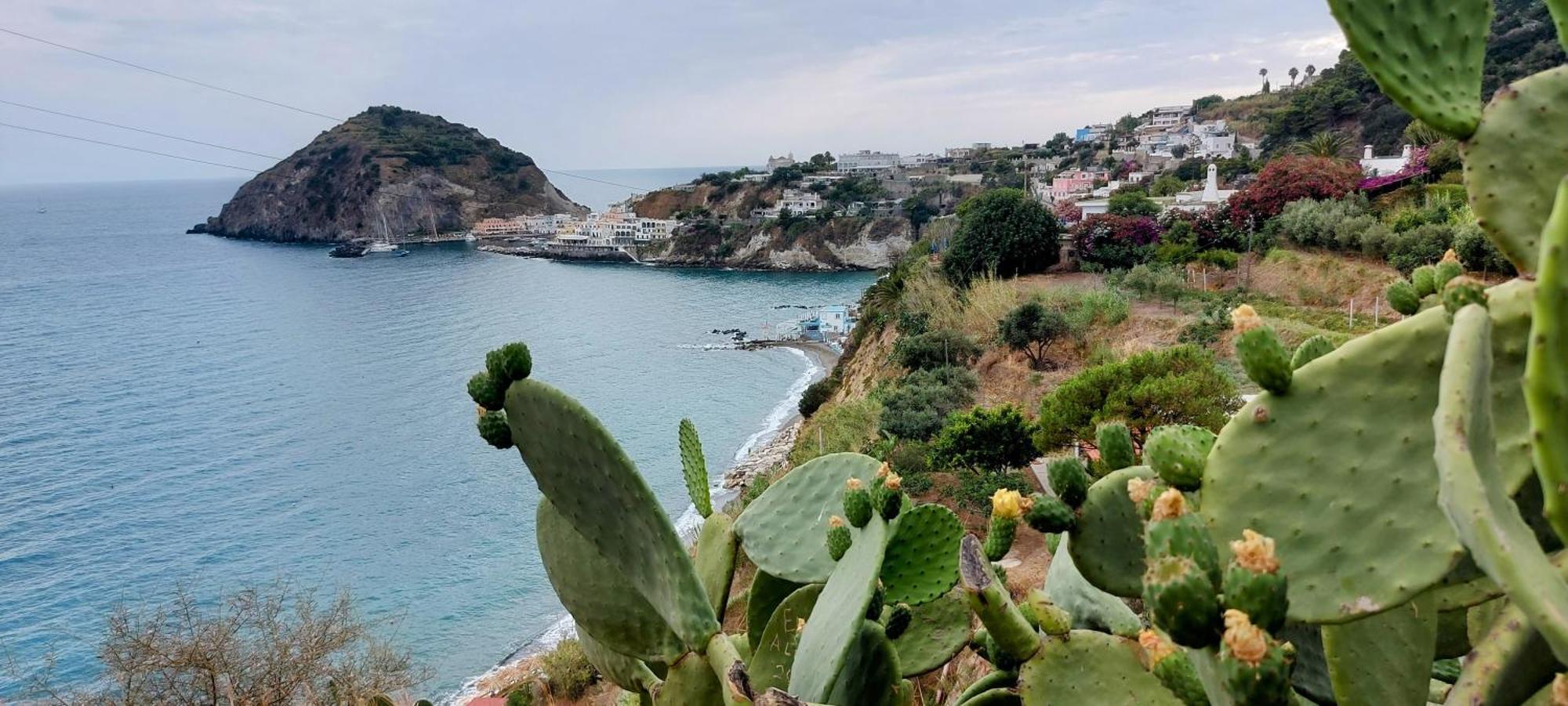 Vista Mare *