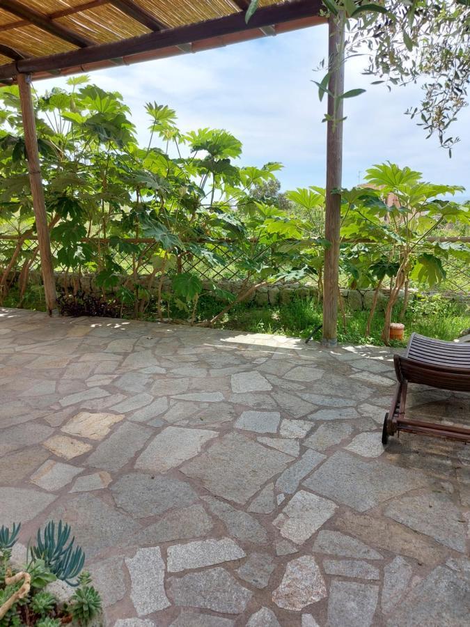Symphony Sea View Apartment Forio (Isola d'Ischia)