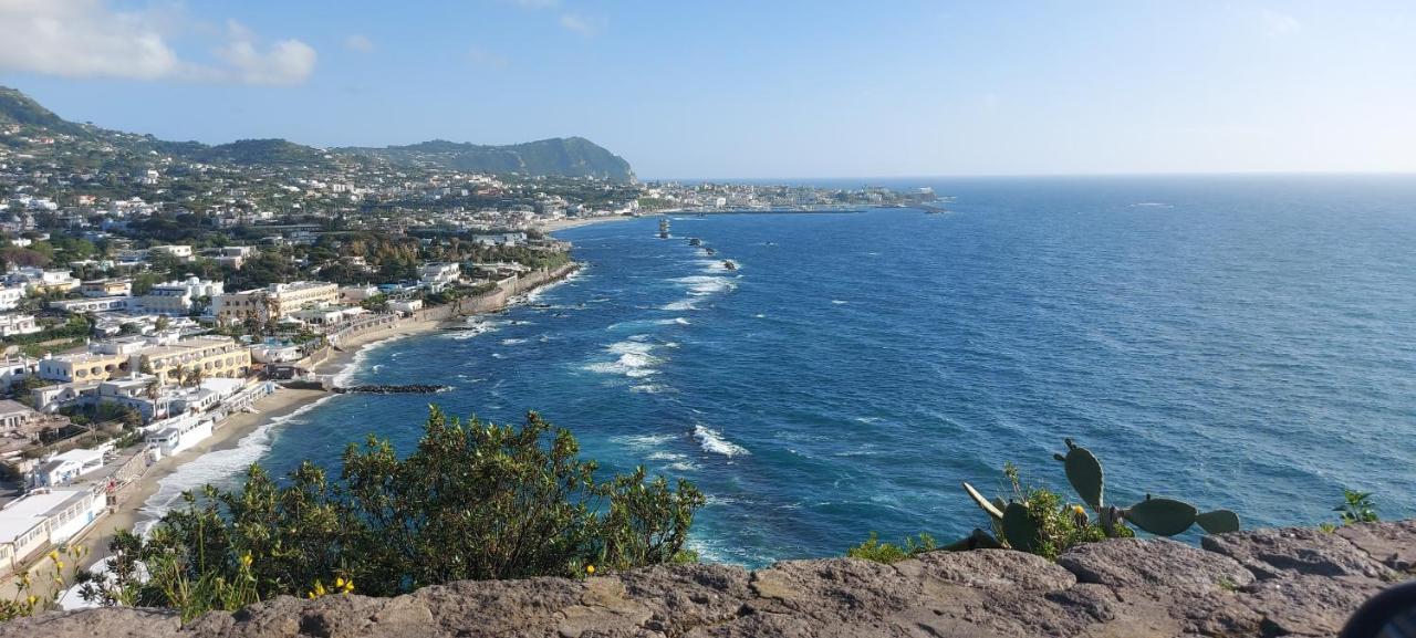 Symphony Sea View *