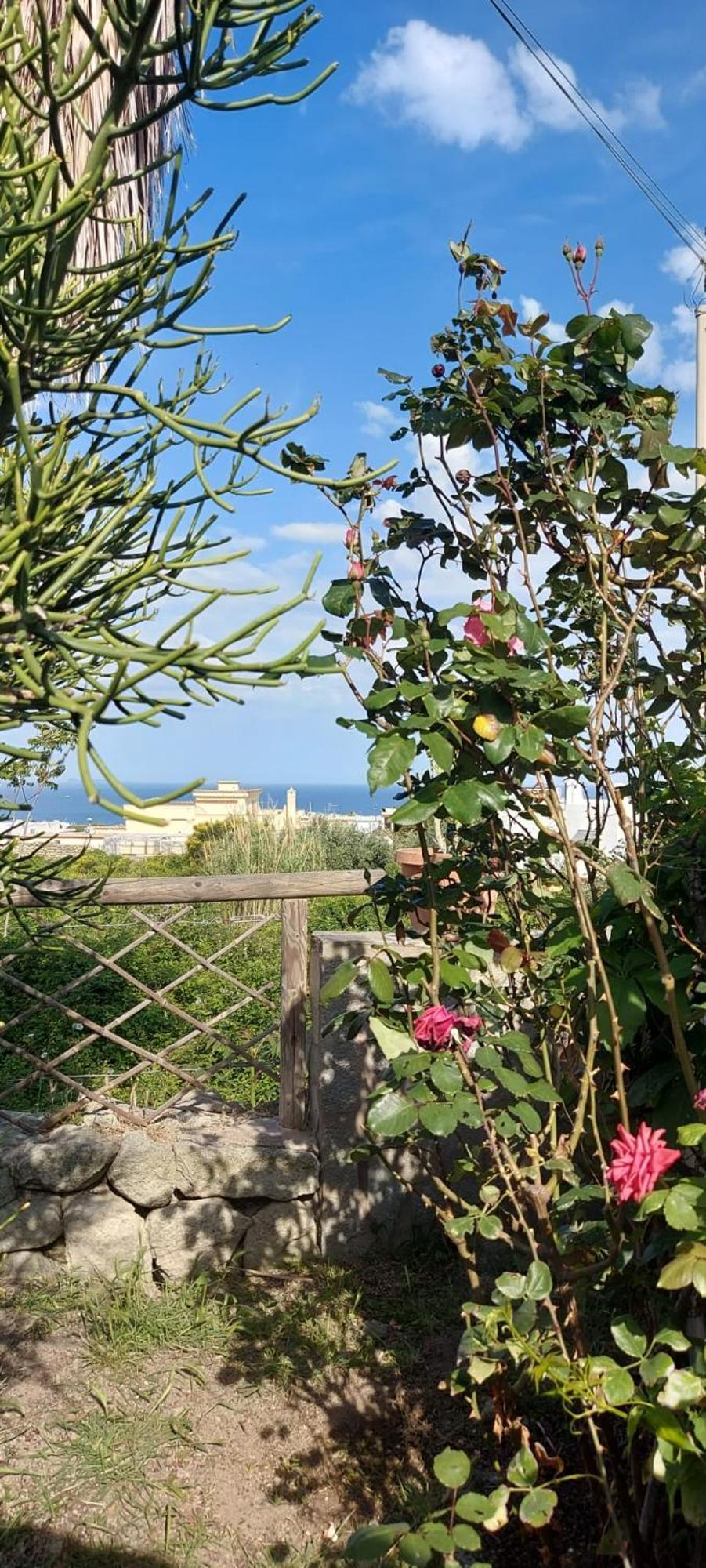 Symphony Sea View Apartment Forio (Isola d'Ischia)
