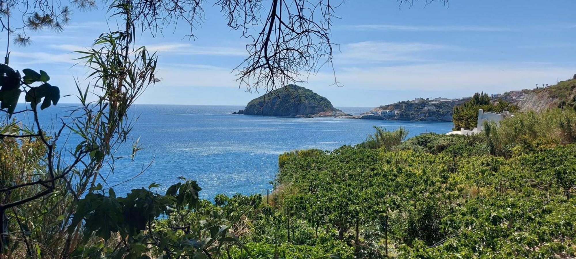 Symphony Sea View * Forio (Isola d'Ischia)